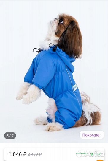 Одежда для собак