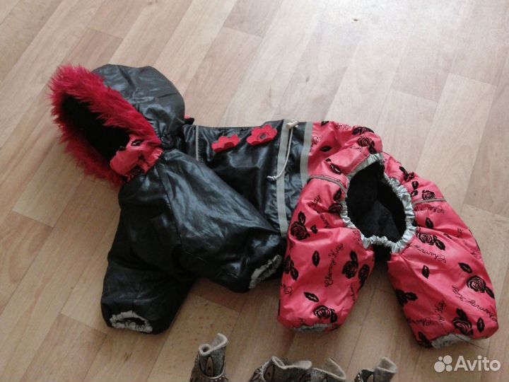 Одежда для маленьких собак