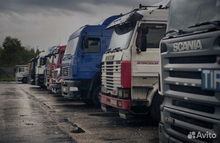 Грузоперевозки 5, 10, 20, 80 тонн штора, реф, борт