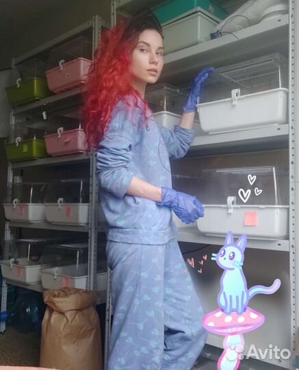 Домашняя передержка животных, зооняня