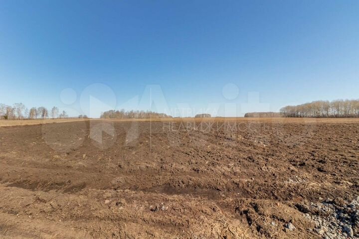 Участок 15 сот. (СНТ, ДНП)