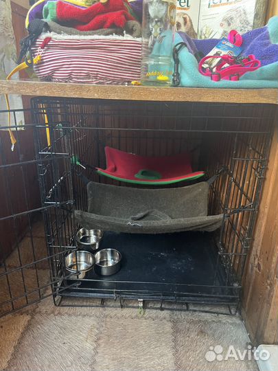 Полноценный дом для хорька, норки