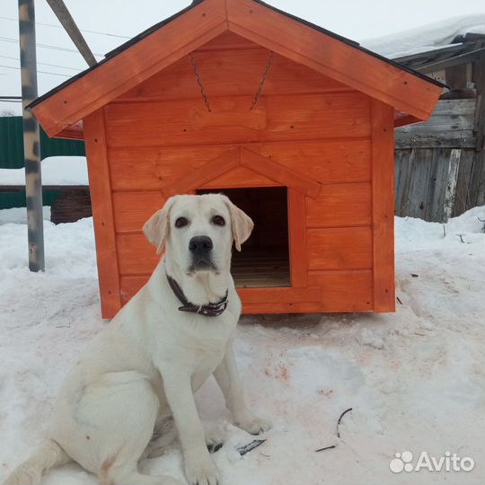 Будка для собаки, новая