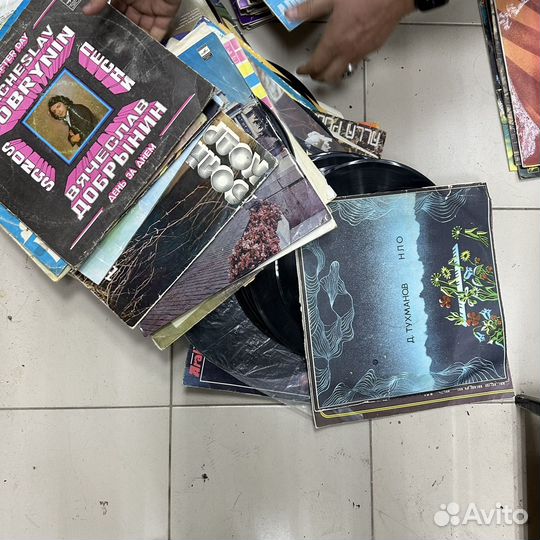 Виниловые пластинки 80 шт одним лотом (сзр)