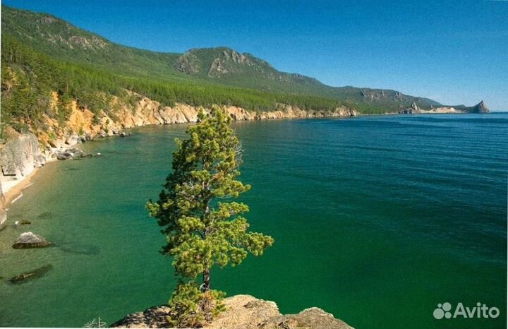 Тур-поездка на о Байкал летом 4 до 8 дней