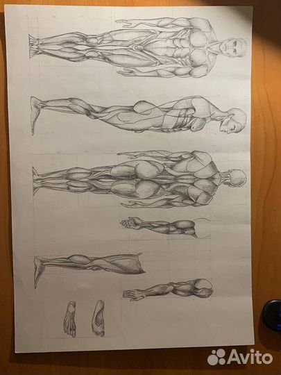 Рисунки на заказ