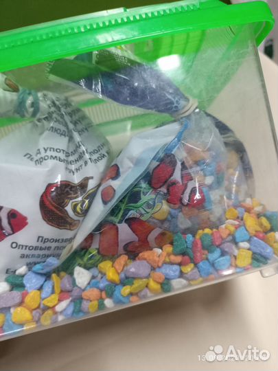 Набор для аквариума (1500 за всё)