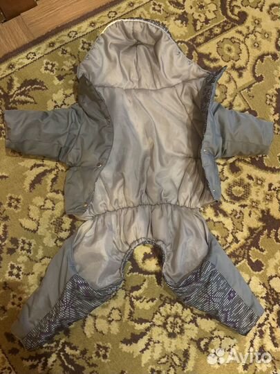 Комбинезон для собаки