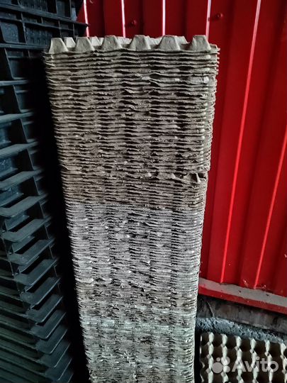 Лотки для яиц