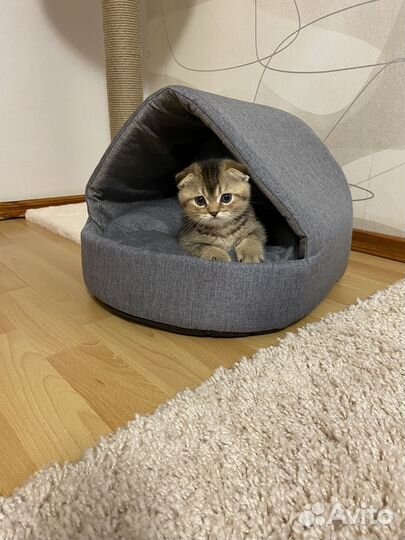 Домик лежанка для кошки