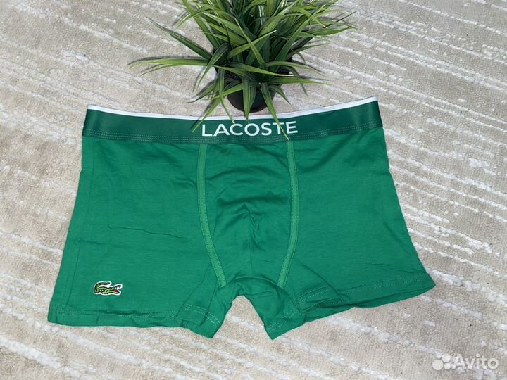 Боксеры lacoste