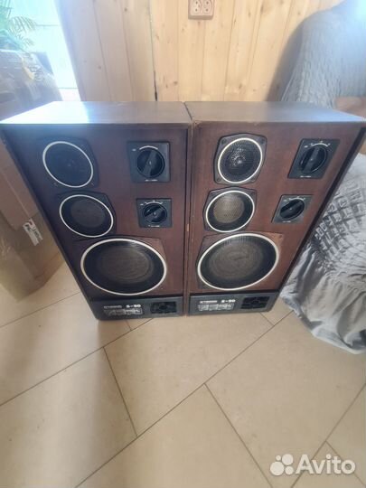 Колонки радиотехника s90