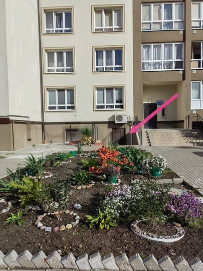 Свободного назначения, 46.6 м²