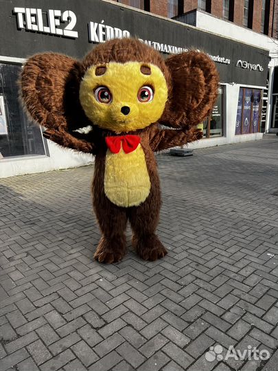 Поздравление Чебурашки Аниматор