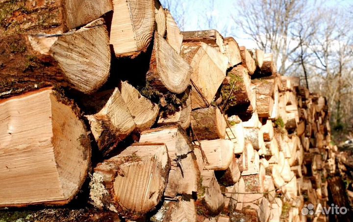Дрова в область