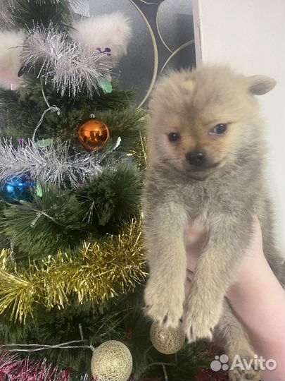 Особенный малыш