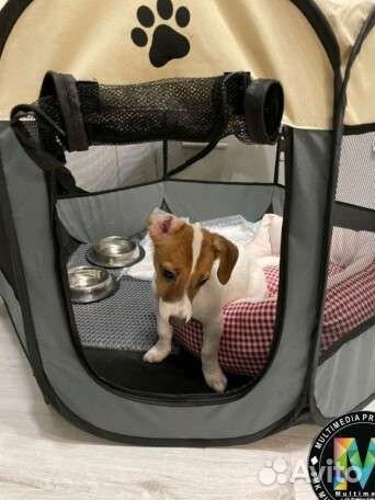 Домик для кошки и собаки