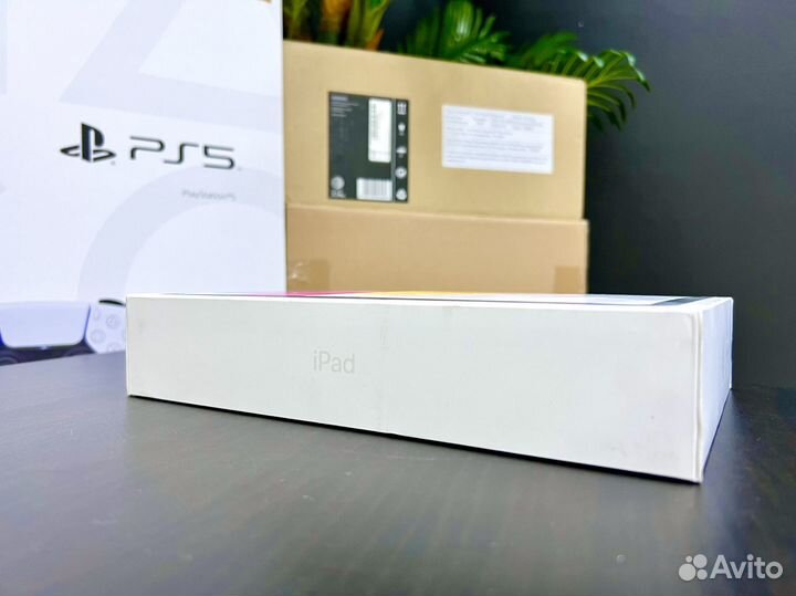 iPad 10 256Gb Silver