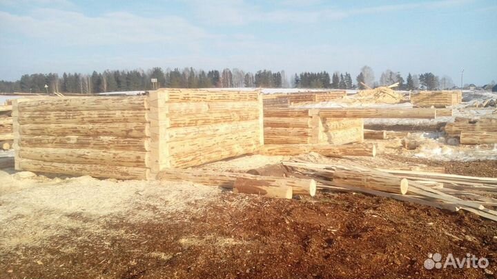 Сруб дома баня из зимнего леса