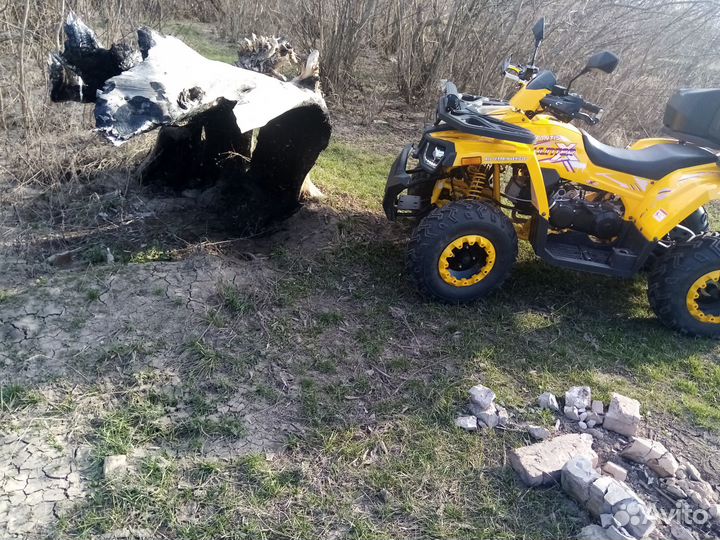 Квадроцикл