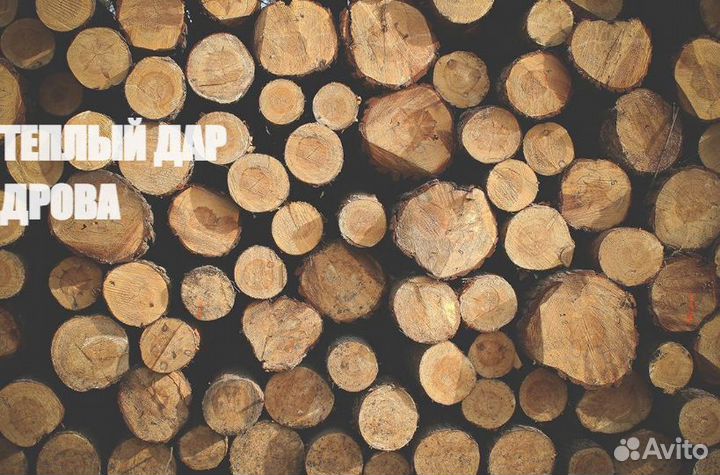 Дрова сухие
