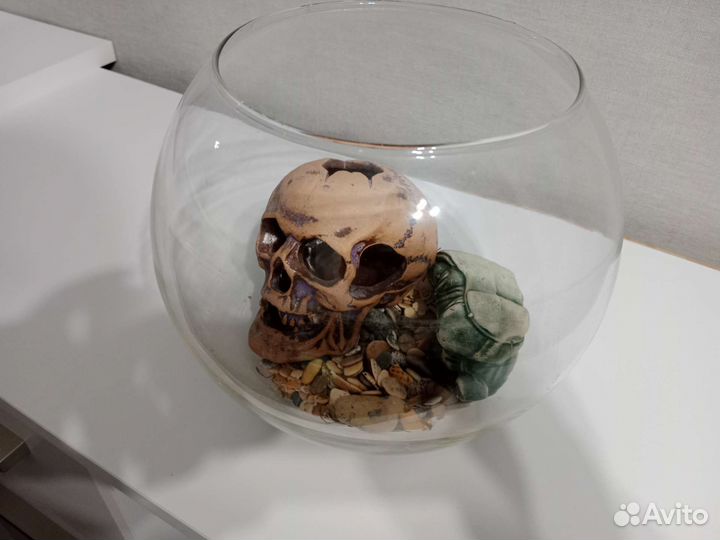 Аквариум для рыб