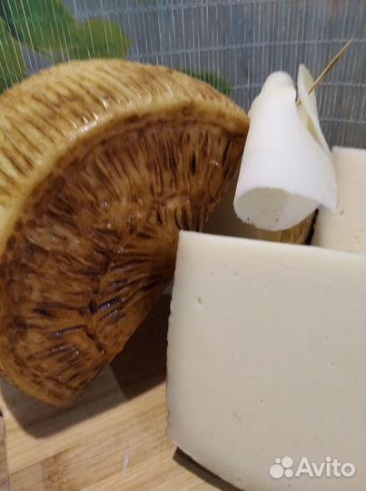 Адыгейский сыр, твердые сыры, молочные продукты