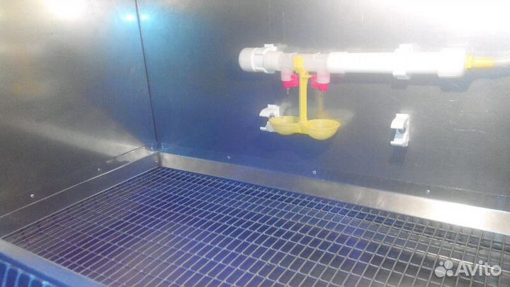 Брудер для цыплят