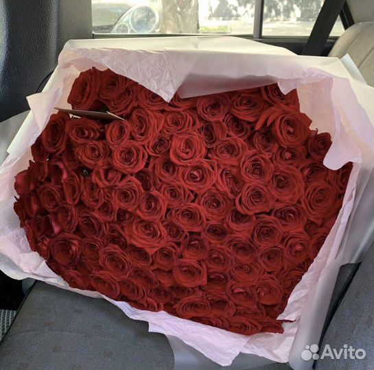Розы 101 штука 70 см Бесплатная доставка