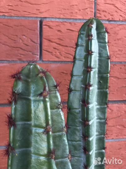 Кактус искусственный