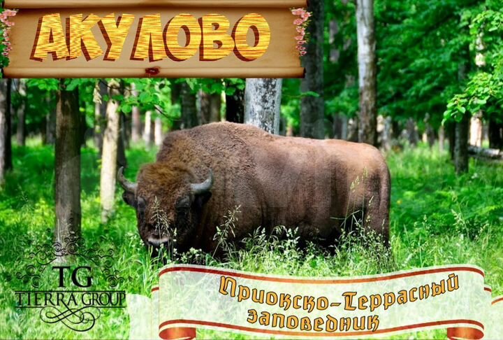 Участок 6 сот. (ИЖС)