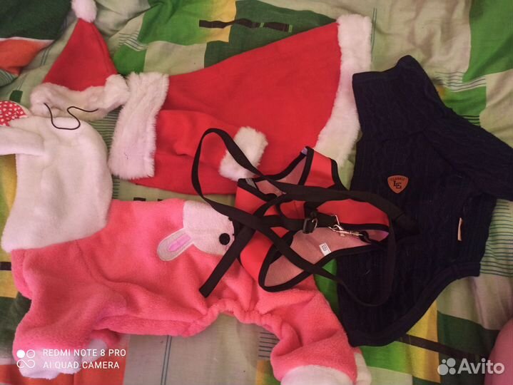 Одежда для маленьких собак