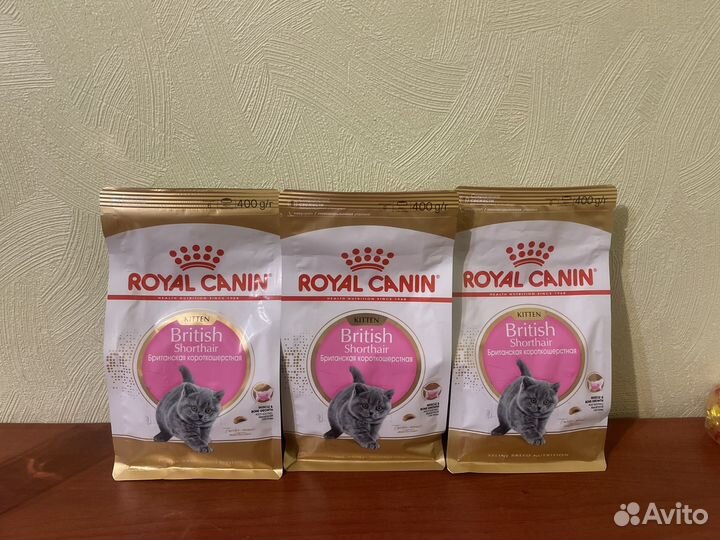Корм Royal Canin British kitten 1,2кг
