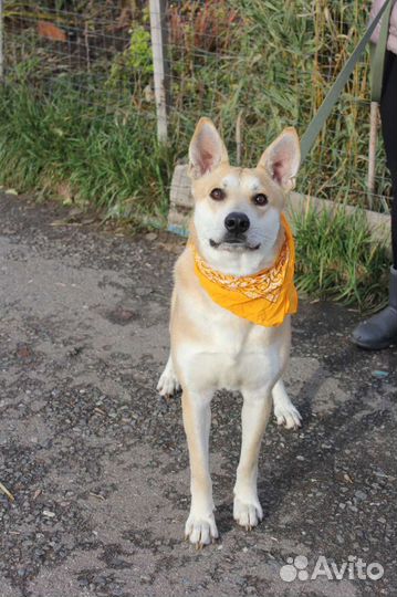 Ждёт свою семью