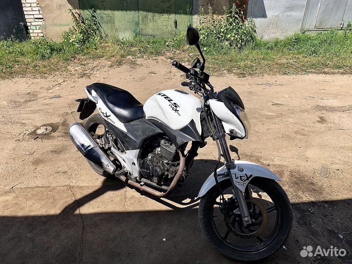 Stels flex 250