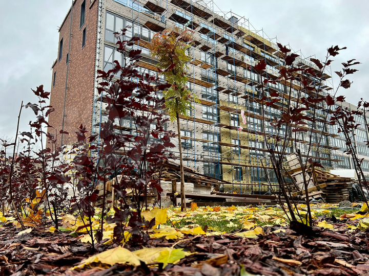 3-к. квартира, 85 м², 1/5 эт.