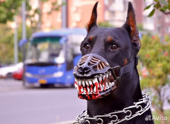 Дизайнерский намордник для собак
