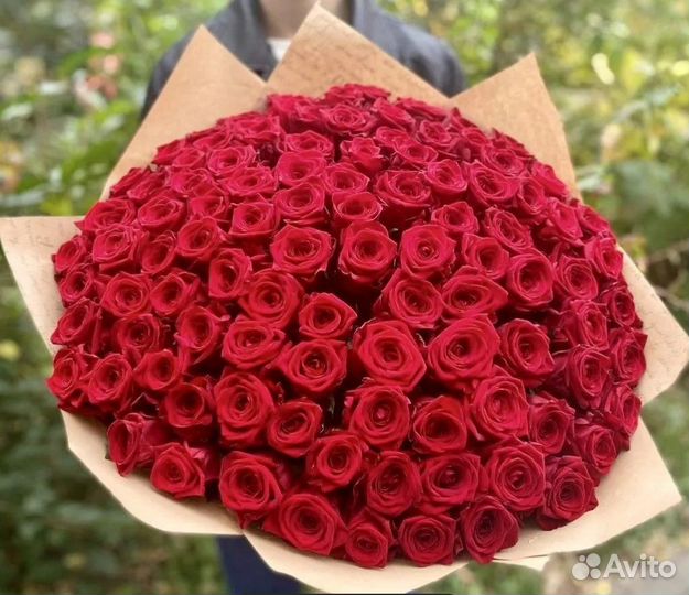 Розы Букет Цветов 25 51 101 Роза