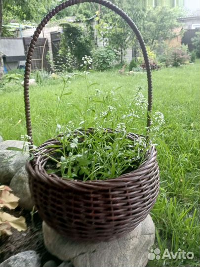 Кашпо для цветов