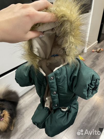 Куртка для собаки