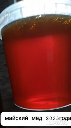 Продаю мед натуральный майский 2023 года