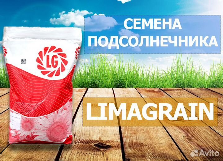Семена подсолнечника Лимагрейн (Limagrain)