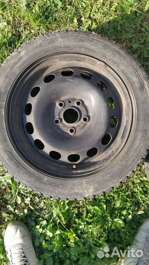 Dunlop Graspic DS2 205/55 R16