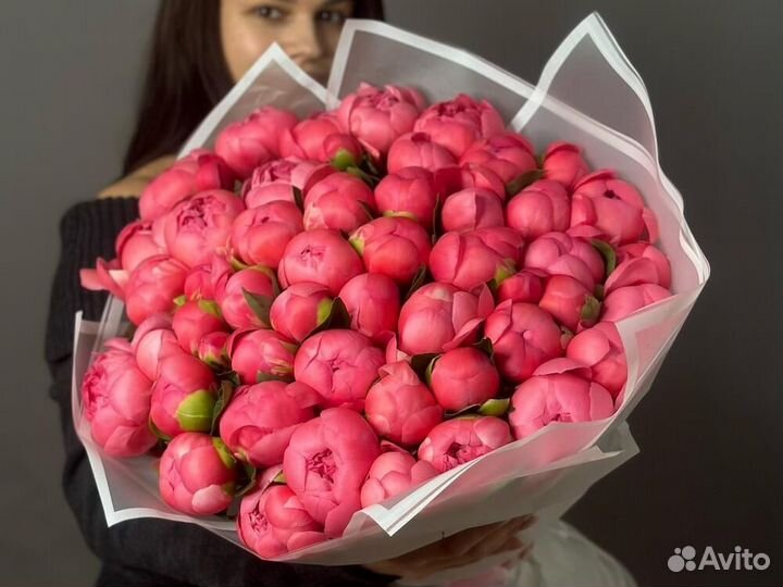 Голландские пионы