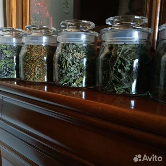 Растения Травы дикоросы