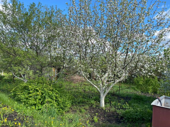 Дача 30 м² на участке 6,5 сот.