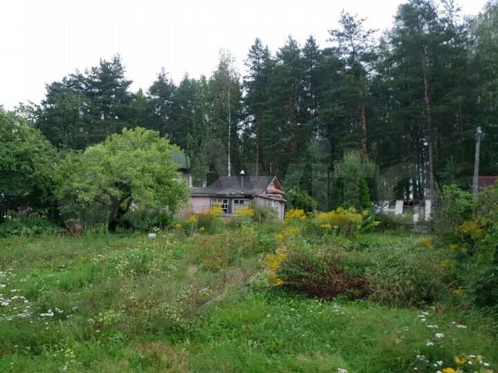 Участок 10 сот. (СНТ, ДНП)