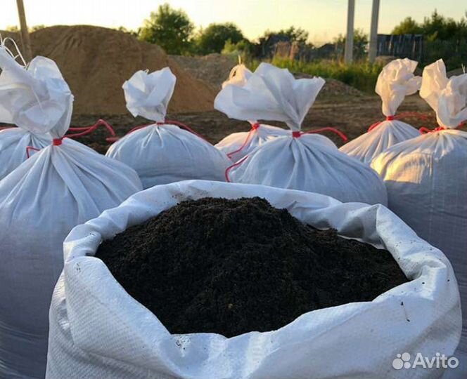 Конский новоз