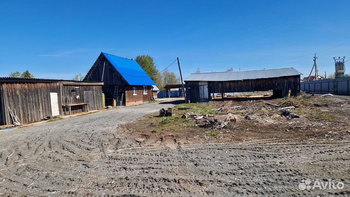 Производство пиломатериала