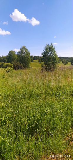 Участок 10 сот. (СНТ, ДНП)